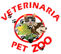 Veterinaria Petzoo